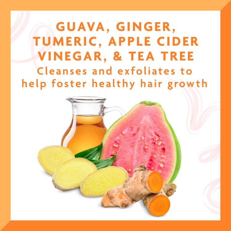 اسکراب لایه بردار کف سر گواوا و زنجبیل کنتو | Cantu Guava & Ginger Scalp Exfoliating Pre-Cleansing Treatment اورجینال را میتوانید از بهارشاپ بیوتی (BaharShopBeauty.ir) تهیه کنید.
