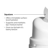 بالم لب اسکوالان و آمینو اسید اوردینری | The Ordinary Squalane and Amino Acids Lip Balm اورجینال را میتوانید از بهارشاپ بیوتی (BaharShopBeauty.ir) تهیه کنید.