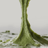 شوینده صورت موچی آرنسیا