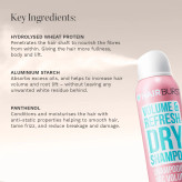 Hairburst volume and refresh dry shampoo spray